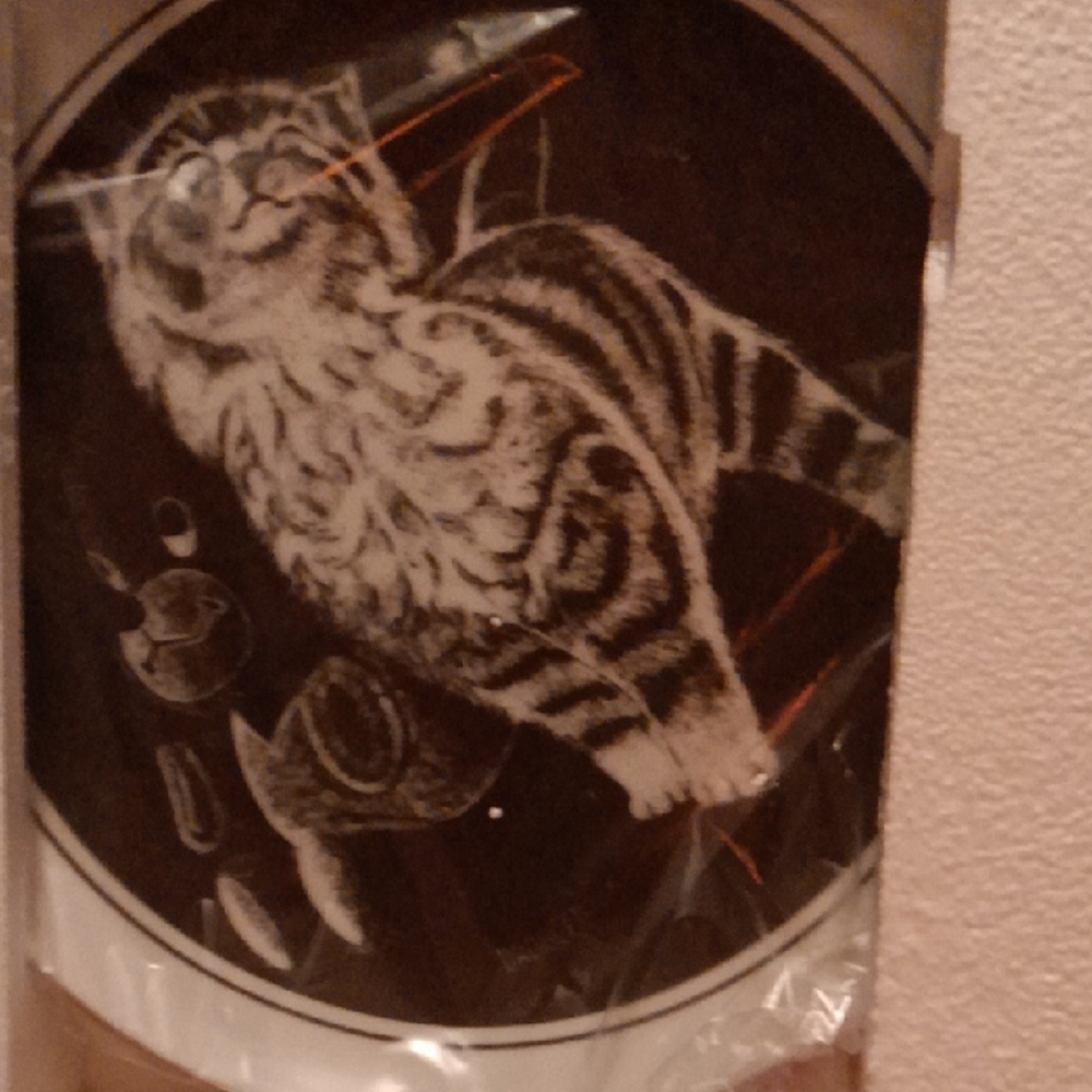 Hand Painted Kitten Plate New In Box.